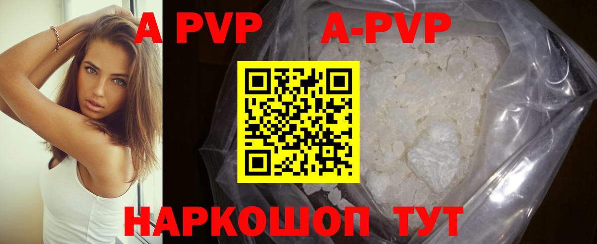 A-PVP СК Аргун