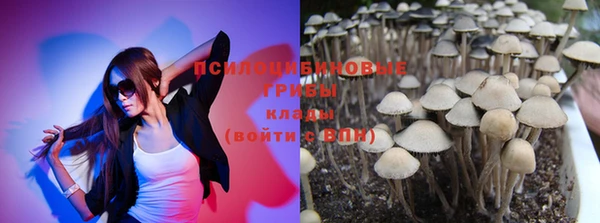 герыч Алзамай