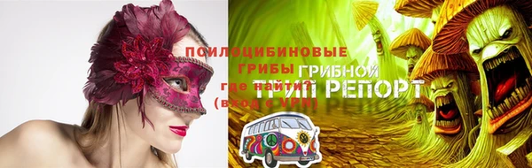 не бодяженный Алексин