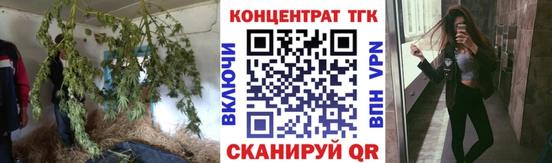 купить закладку  Аргун  Дистиллят ТГК гашишное масло 