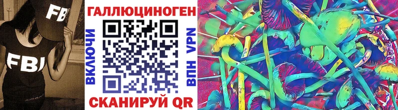 Псилоцибиновые грибы GOLDEN TEACHER Аргун