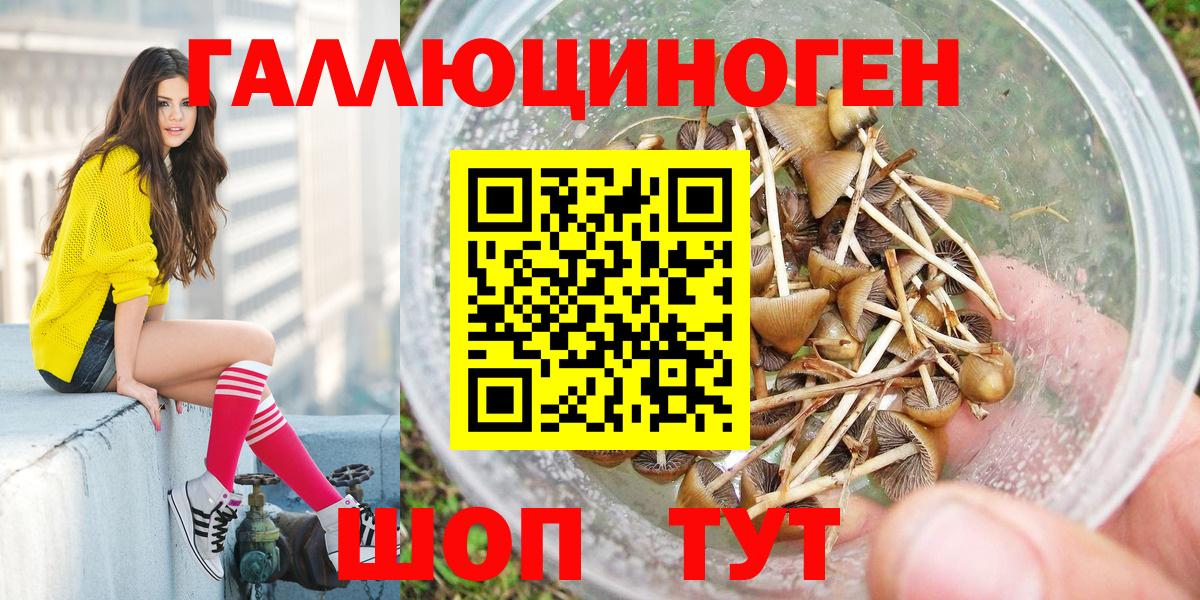 как найти наркотики  Вход с VPN  Аргун  Псилоцибиновые грибы мухоморы 