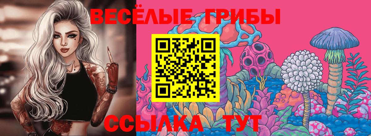 Псилоцибиновые грибы GOLDEN TEACHER Аргун